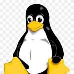 linux